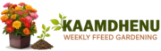 Kaamdhenu Main Logo