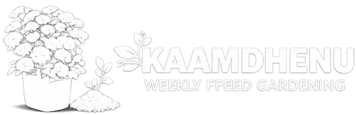 Kaamdhenu Main Logo White 